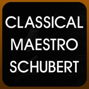 ดาวน์โหลดและฟังเพลง Piano Sonata No. 14 in A Minor, D. 784, Op. 143: I. Allegro giusto พร้อมเนื้อเพลงจาก Classical Maestro Schubert