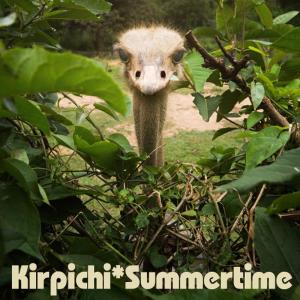ดาวน์โหลดและฟังเพลง Summertime พร้อมเนื้อเพลงจาก Кирпичи