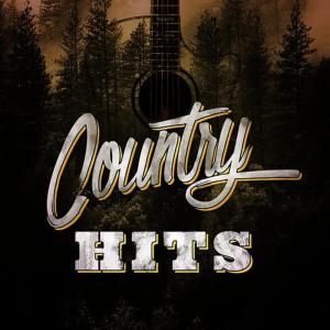 ดาวน์โหลดและฟังเพลง All My Ex's Live in Texas พร้อมเนื้อเพลงจาก Country Hit Superstars