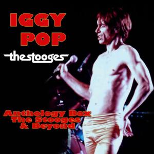 ดาวน์โหลดและฟังเพลง No Fun (Live) พร้อมเนื้อเพลงจาก Iggy Pop