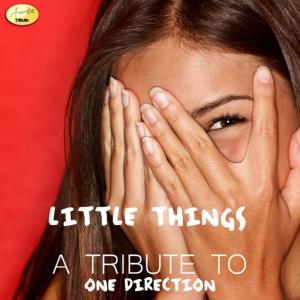 收聽Ameritz - Tribute的Little Things歌詞歌曲