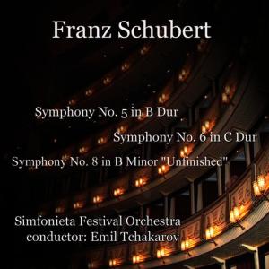 收聽Simfonieta Festival Orchestra的Symphony No. 8 in B minor (Unfinished): 1. Allegro moderato歌詞歌曲
