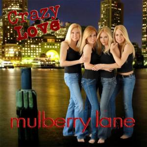收聽Mulberry Lane的Crazy Love Remix歌詞歌曲