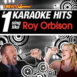 ดาวน์โหลดและฟังเพลง Penny Arcade (As Made Famous By Roy Orbison) พร้อมเนื้อเพลงจาก Karaoke