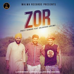 Listen to Zor song with lyrics from Preet Sandhu