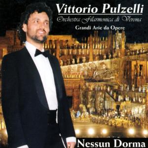 收聽Vittorio Pulzelli con orchestra filarmonica di Verona的Ti voglio tanto bene歌詞歌曲