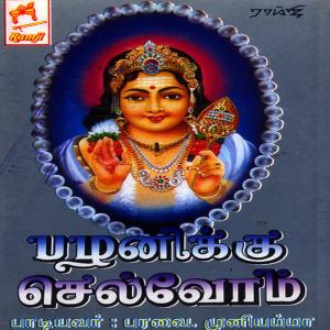 ดาวน์โหลดและฟังเพลง Chinna Chinna พร้อมเนื้อเพลงจาก Paravai Muniamma