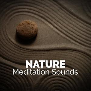 收聽Nature Sounds Meditation的Bird Life Behind the Barn歌詞歌曲