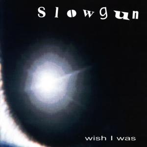收聽Slowgun的Pitbull歌詞歌曲