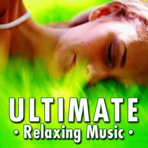 ดาวน์โหลดและฟังเพลง Balance the Chi for Gentle Relaxation and Peaceful Sleep พร้อมเนื้อเพลงจาก Music for Relaxing