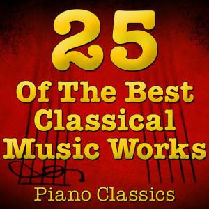 ดาวน์โหลดและฟังเพลง Schubert: Fantasie in C Major, Op. 15, D. 760: I. Allegro พร้อมเนื้อเพลงจาก Music Classics