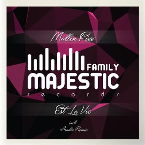 Listen to Est la vie (Aradiz Remix) song with lyrics from Maltin Fixx