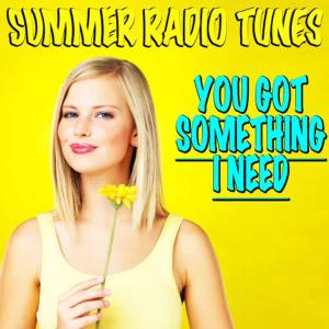 收聽Summer Radio Tunes的(You Got) Something I Need歌詞歌曲