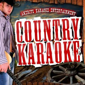 收聽Ameritz Karaoke Entertainment的Tryin' to Get Over You (In the Style of Vince Gill) (Karaoke Version)歌詞歌曲