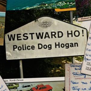 收聽Police Dog Hogan的A Man Needs a Shed歌詞歌曲