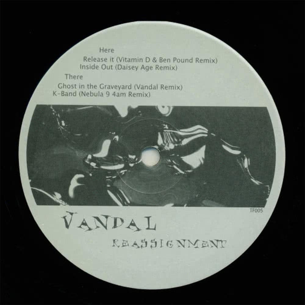 Release It (DJ Vitamin D &amp; Ben Pound remix)
