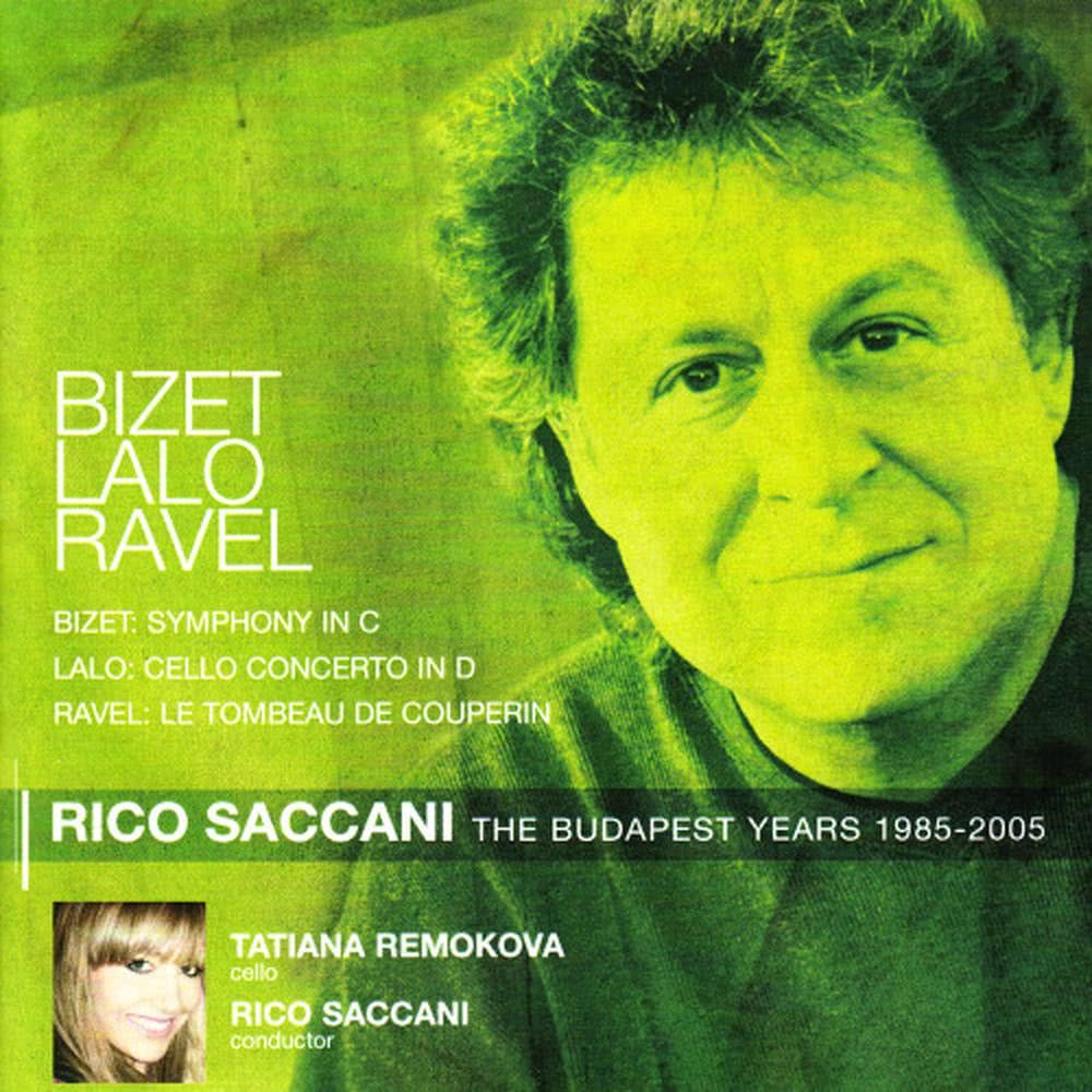 Cello Concerto in D Minor: Cello Concerto: Introduction (Andante) - Allegro vivace