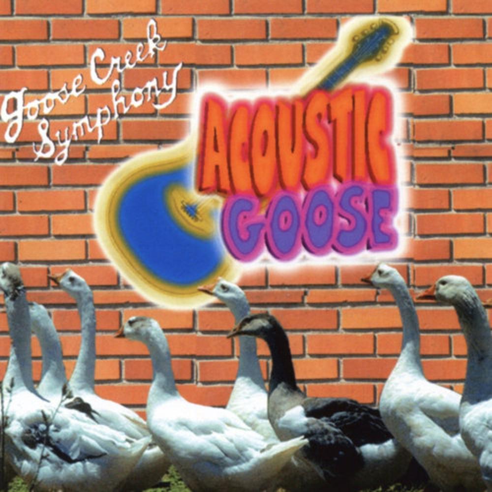 Medley: The Corn Won't Grow So Rock & Roll/Guitars Pickin' & Fiddles Playin'/On The Right