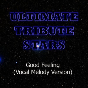 收聽Ultimate Tribute Stars的Flo Rida - Good Feeling (Vocal Melody Version)歌詞歌曲