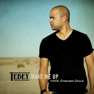 ดาวน์โหลดและฟังเพลง Wake Me Up พร้อมเนื้อเพลงจาก Tebey