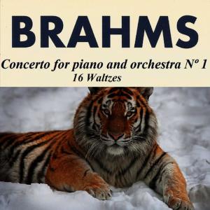 อัลบัม Brahms - Concerto for piano and orchestra Nº 1 - 16 Waltzes ศิลปิน Karin Lechner