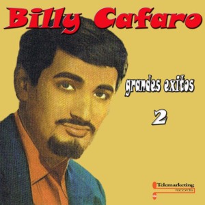 ดาวน์โหลดและฟังเพลง Pity Pity พร้อมเนื้อเพลงจาก Billy Cafaro