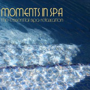 收聽Relaxing Spa Music Ensemble的Avatar Dream歌詞歌曲