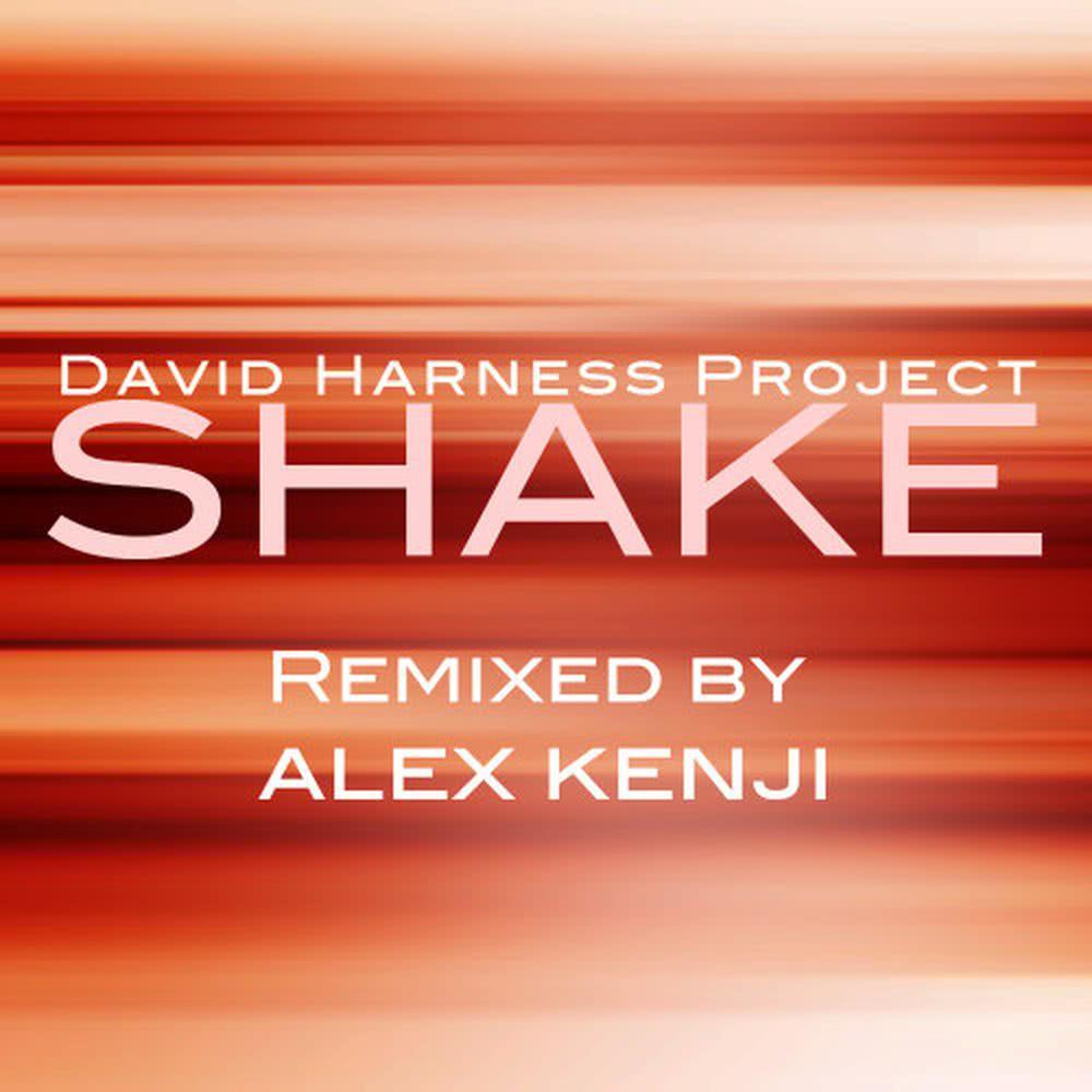 Shake (DHJ Main Mix)