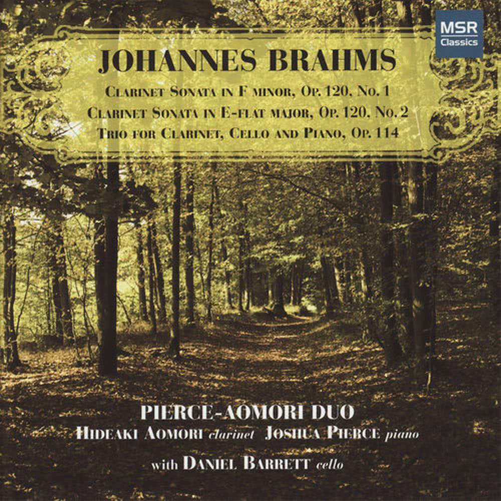 Trio for Clarinet, Cello and Piano, Op.114: IV. Allegro