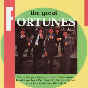 ดาวน์โหลดและฟังเพลง Storm In A Teacup พร้อมเนื้อเพลงจาก The Fortunes