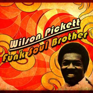 ดาวน์โหลดและฟังเพลง I Can't Stop พร้อมเนื้อเพลงจาก Wilson Pickett