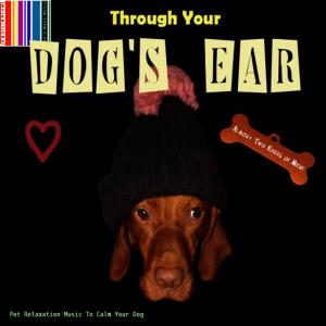 ดาวน์โหลดและฟังเพลง Talking To The Moon พร้อมเนื้อเพลงจาก Pet Lovers