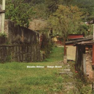 收聽Cláudio Olliver的Realize歌詞歌曲