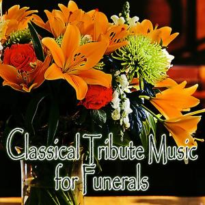 อัลบัม Classical Tribute Music for Funerals ศิลปิน Father John