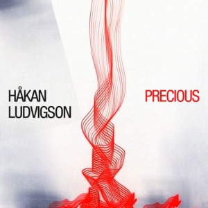 收聽Håkan Ludvigson的Precious (Talifreaks Remix)歌詞歌曲