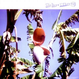 John Davis的專輯I'll Burn