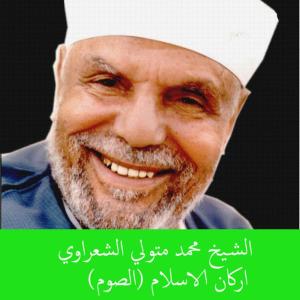 ดาวน์โหลดและฟังเพลง Fadl Laylat Al Kadr พร้อมเนื้อเพลงจาก Mohamed Metwally Al Shaarawy