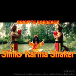 收聽Brigitte Bordeaux的Slinky Karma Shaker歌詞歌曲