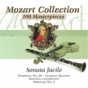 收聽Salzburg Mozarteum Orchestra的String Quartet In C Major, K. 465, Dissonant - II. Andante cantabile歌詞歌曲