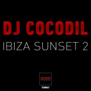 ดาวน์โหลดและฟังเพลง You Dont Know พร้อมเนื้อเพลงจาก DJ Cocodil
