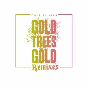 ดาวน์โหลดและฟังเพลง Into the Desert Night (Duty Freak Remix) พร้อมเนื้อเพลงจาก Colt Silvers