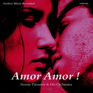 Norrie Paramor & His Orchestra的專輯Amor Amor!