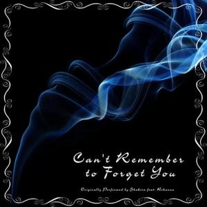 ดาวน์โหลดและฟังเพลง Can't Remember to Forget You พร้อมเนื้อเพลงจาก Hens Party Studio