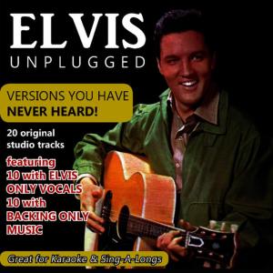 ดาวน์โหลดและฟังเพลง You'll Be Gone (Instrumental) พร้อมเนื้อเพลงจาก Elvis Presley