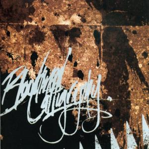 ดาวน์โหลดและฟังเพลง A Variety Of Damage พร้อมเนื้อเพลงจาก Bloodlined Calligraphy