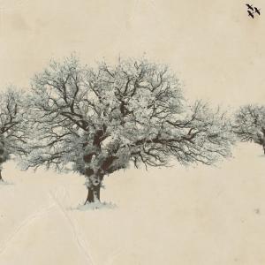 收聽Nutia的Papo (Hannes Smith Papo La Papp Remix)歌詞歌曲