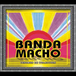 ดาวน์โหลดและฟังเพลง Express (Express) พร้อมเนื้อเพลงจาก Banda Macho