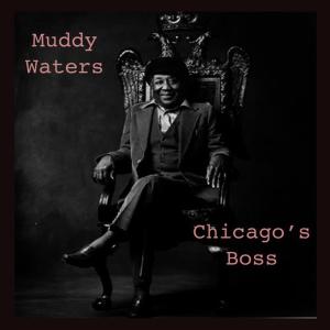 ดาวน์โหลดและฟังเพลง Mean Red Spider พร้อมเนื้อเพลงจาก Muddy Waters