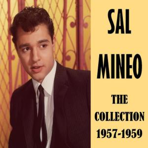ดาวน์โหลดและฟังเพลง Young as We Are พร้อมเนื้อเพลงจาก Sal Mineo