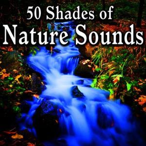 ดาวน์โหลดและฟังเพลง Rolling Thunder Storm for Sleep and Relaxation พร้อมเนื้อเพลงจาก Nature Sound Series